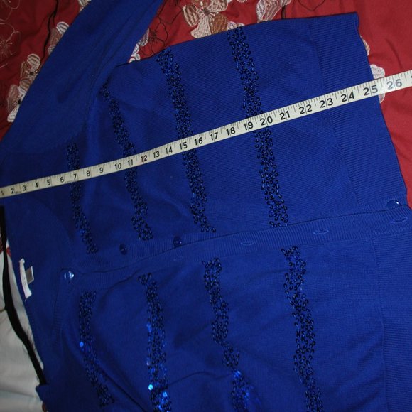 Christopher & Banks Sapphire Blue, Sequin Stripe Sweater - PXL - Picture 10 of 10